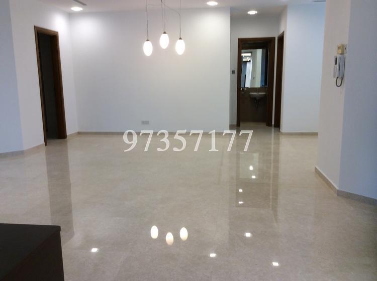 The Legend (D10), Condominium #148346922